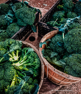 baskets of broccoli on display at Van Grootheest Farm