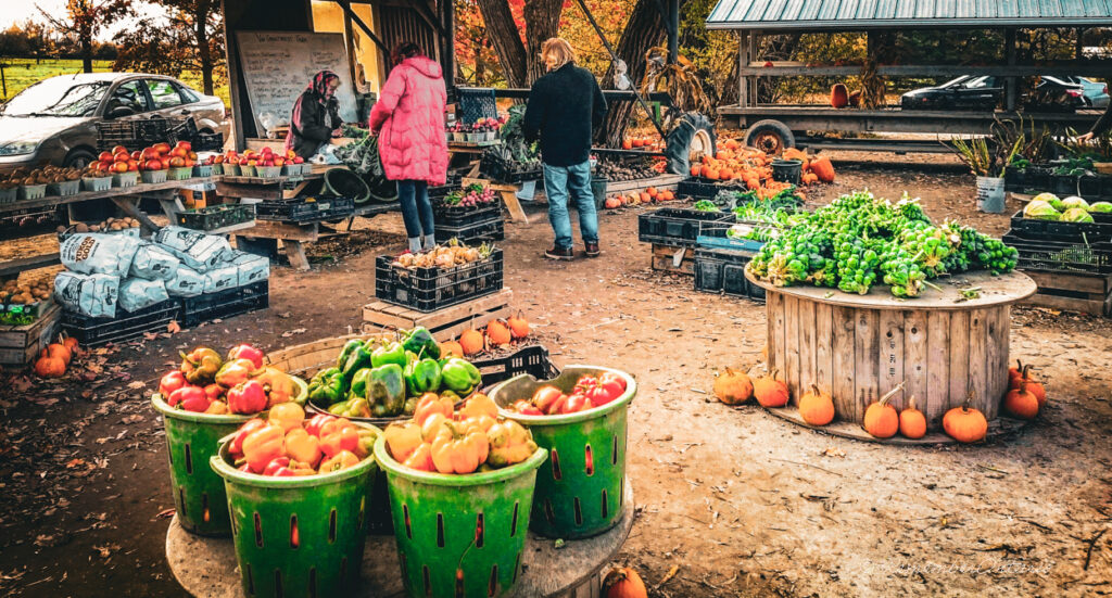 people shopping at an outdoor farmers market