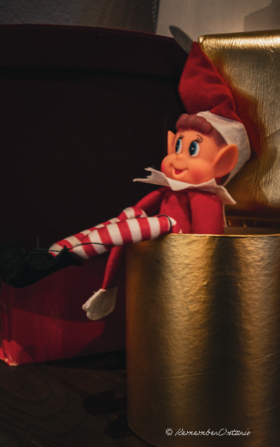 A red Christmas-elf doll sits inside a gold round present box.