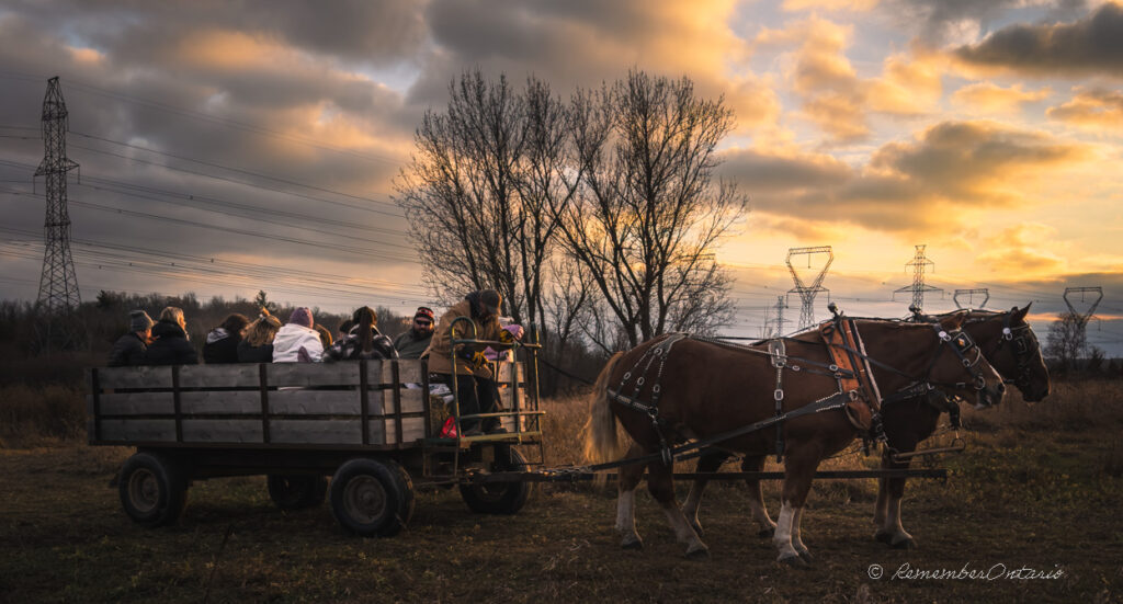 People rode a farm wagon drawn by 2 brown horses in a field under autumn sunset.